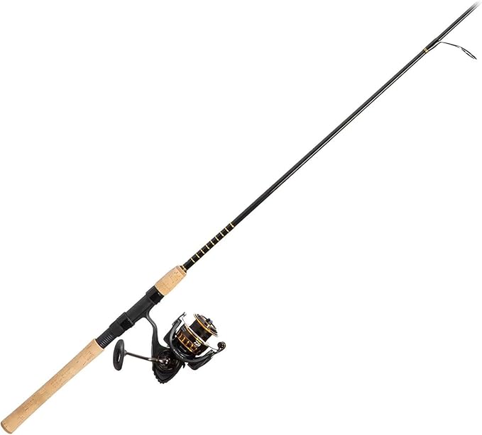 Daiwa BG Spinning Combo