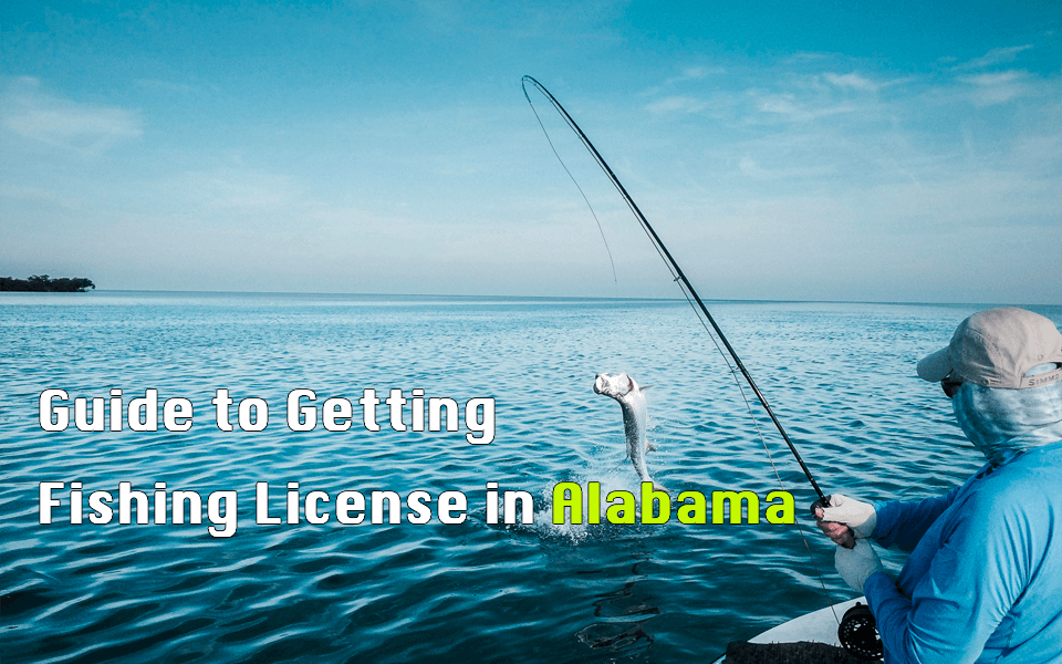 Getting a Fishing License in Alabama