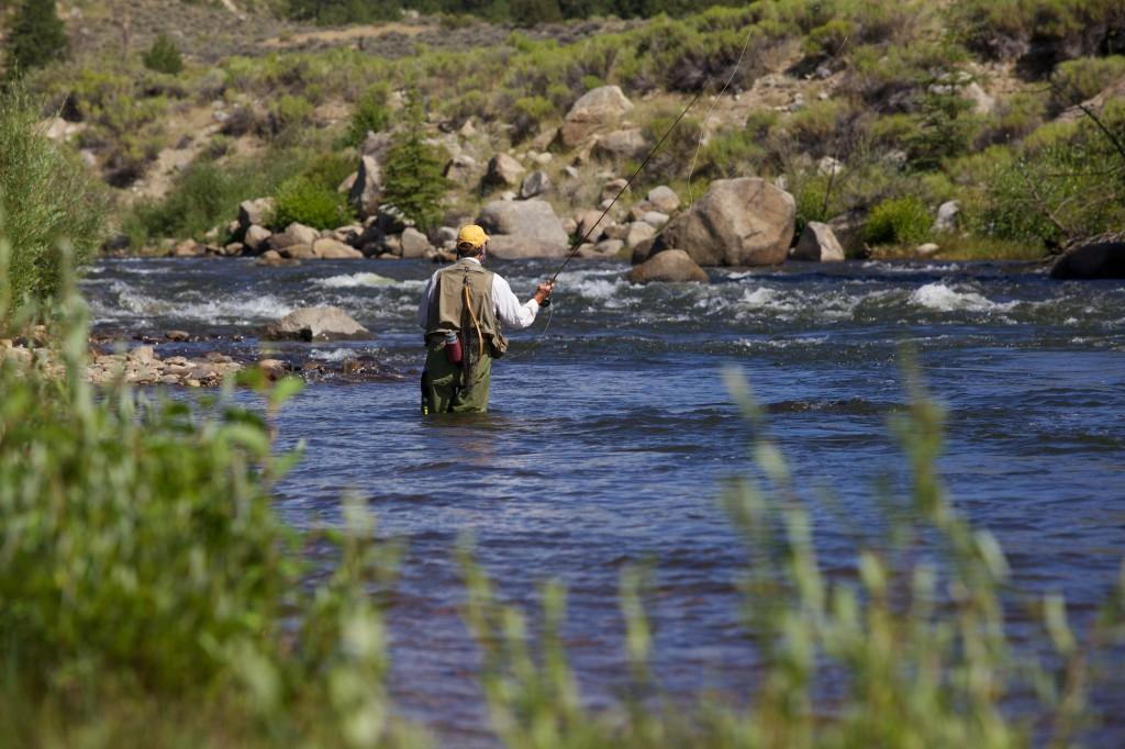 Colorado Fishing License
