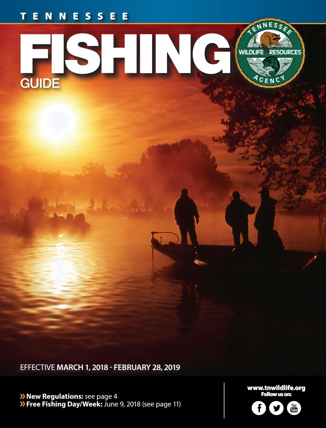 Can You Guide Fishing in TN Without a Captain’s License?