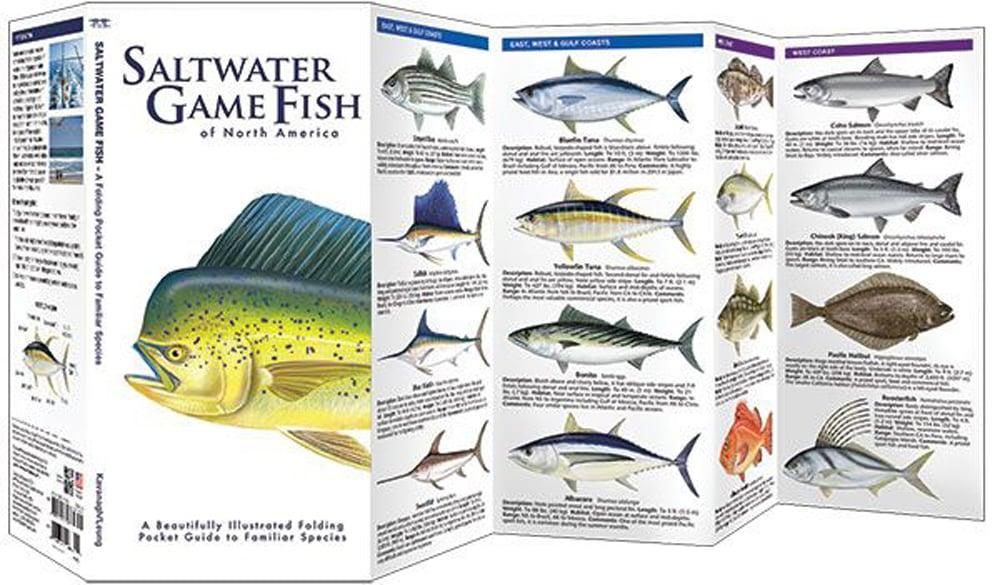 Fish All Across America: Your Guide to Multi-State Fishing Licenses
