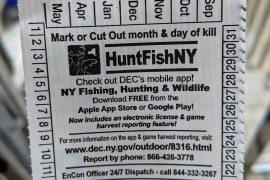 Print Your NY State Fishing License in Minutes: Easy Step-by-Step Guide