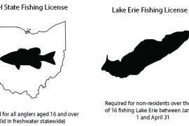 Your Fishing Adventure: Ohio Fishing License Guide