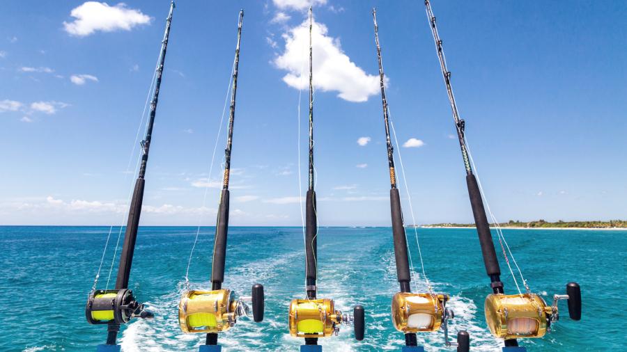 Guide to Maine Saltwater Fishing License Requirements