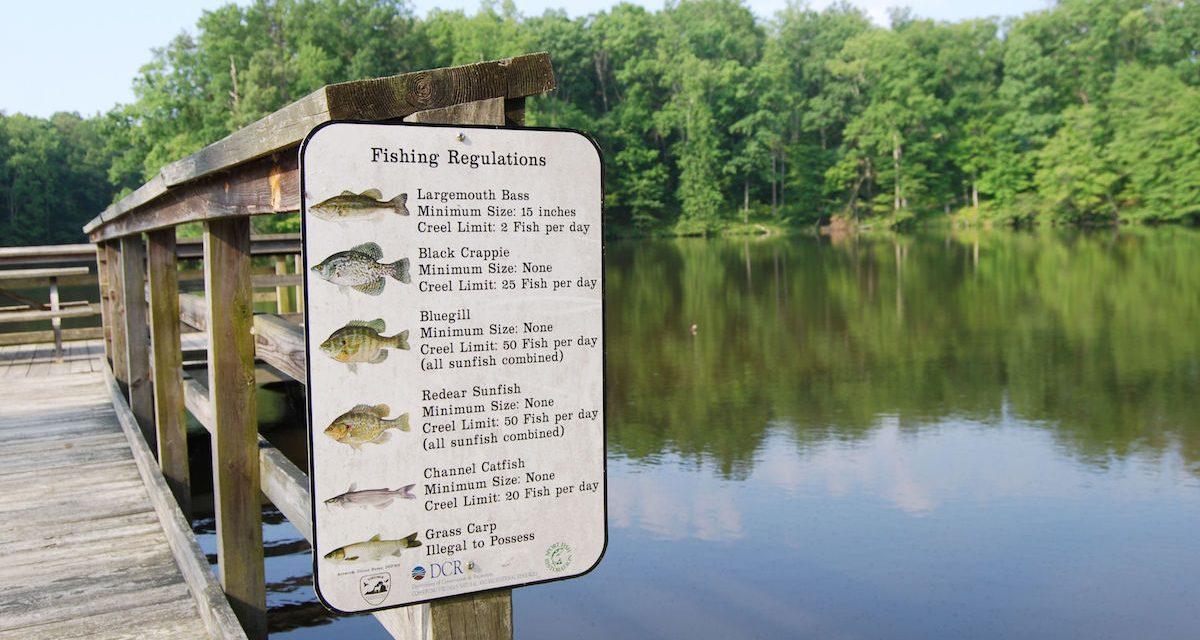 Comprehensive Guide to Fishing Licenses in the USA