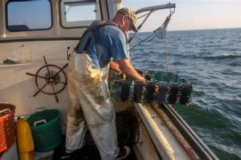 Massachusetts Commercial Fishing License Costs – A Detailed Guide
