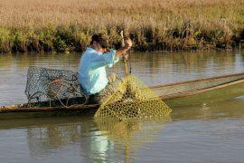 Crabbing in Texas: Know the Law, Get Your License Today!
