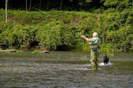 Cost of a Year-Long Fishing License in the United States