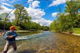 Fishing in Missouri? Discover Who Needs a License Now!