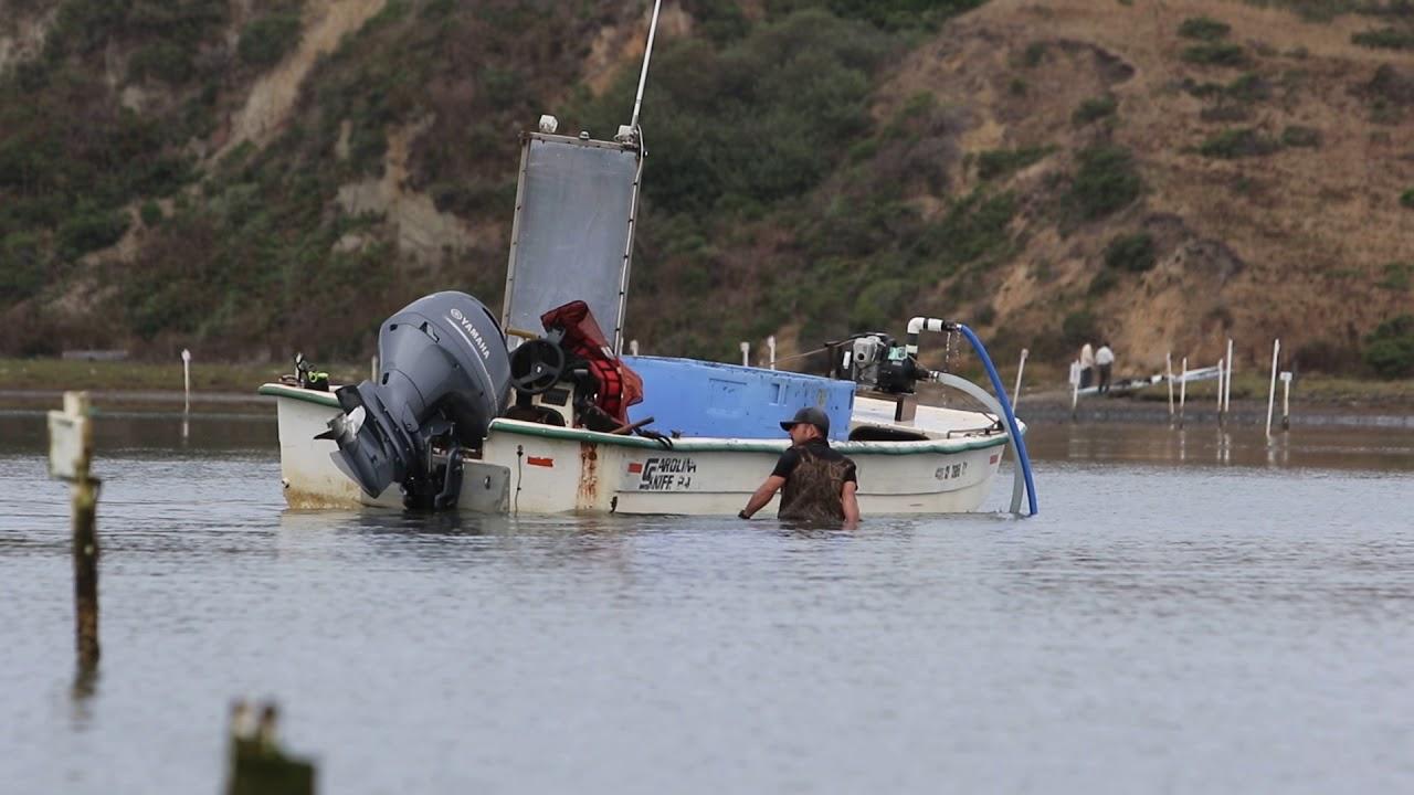 Fishing License for Clam Harvesting