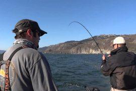 San Francisco Fishing License