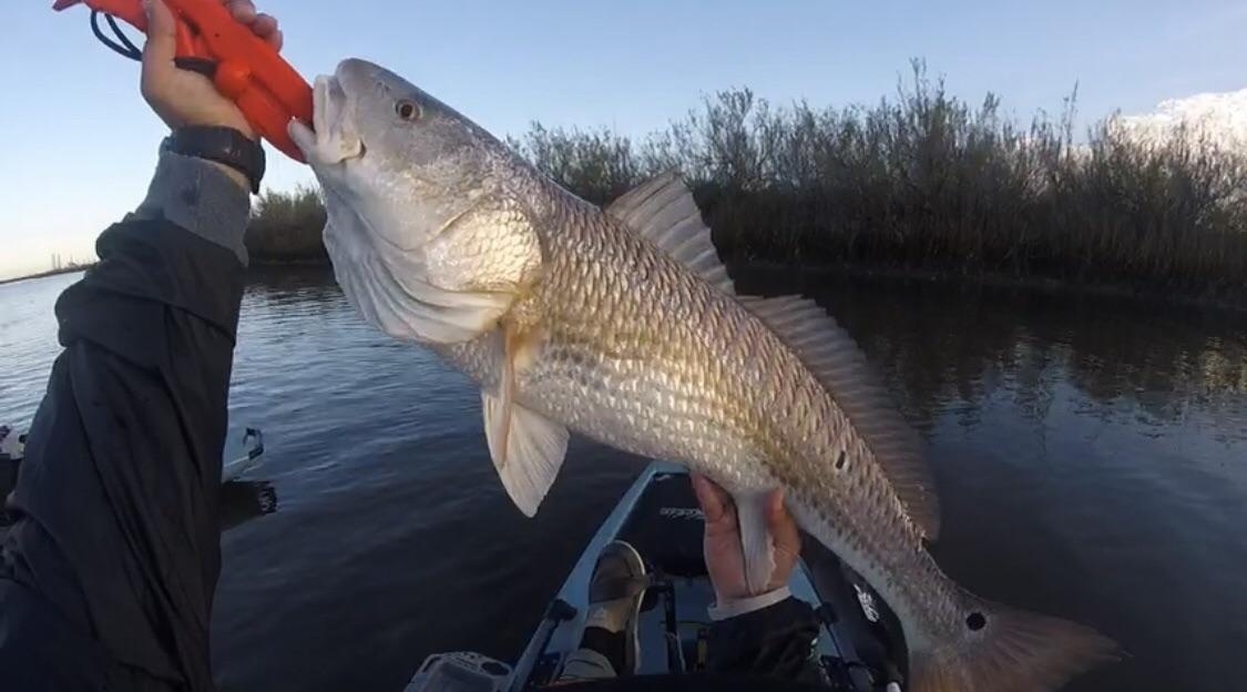 Fishing License in Canton NC Today!