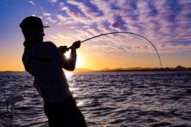 Fishing License in Princeton, MO: The Ultimate Guide