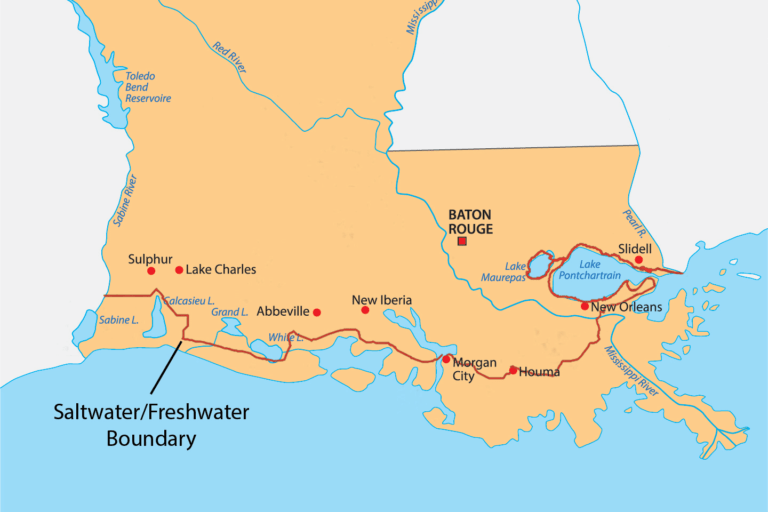 Louisiana Fishing License Online: Hassle-Free Guide