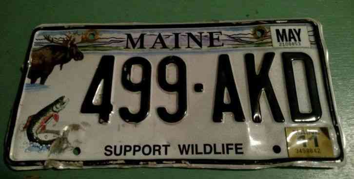 Confused About Maine Fishing Licenses? Here’s Everything You Need to Know