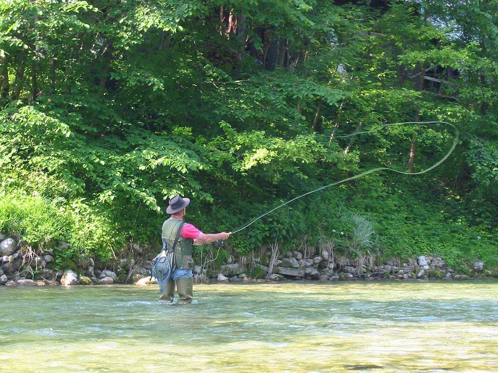 Maine Fishing License Online: Your Ultimate Guide