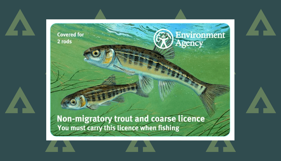 Maximize Your Profits