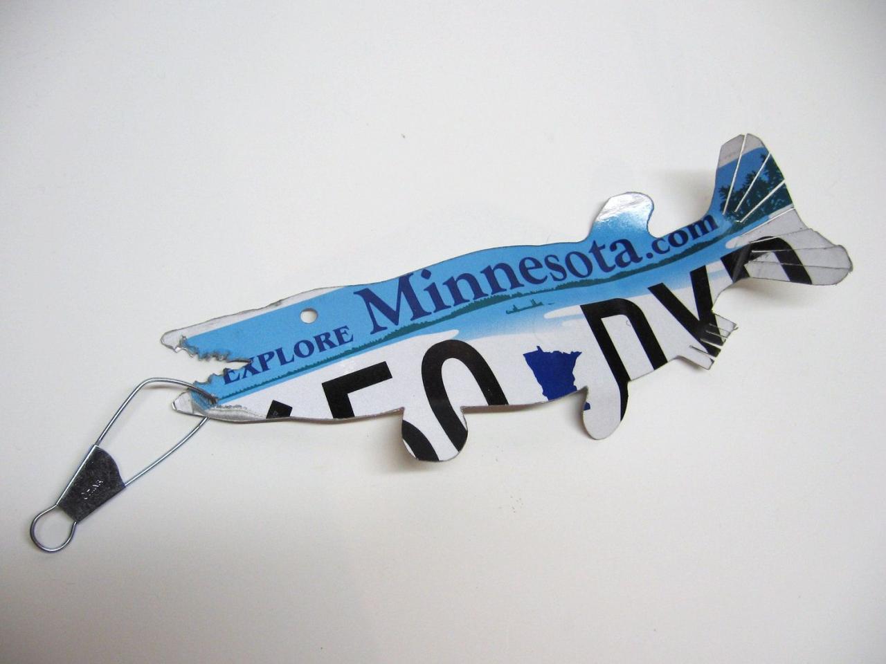 Free Minnesota Fishing License for Veterans: Guide