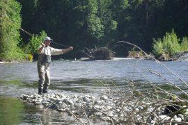 Everything You Need to Know About Fishing Licenses on Memorial Day