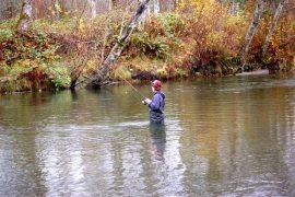Renew Your Michigan Fishing License: Don’t Get Caught Without It