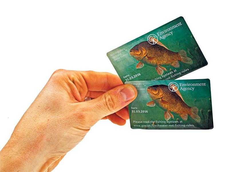 Step-By-Step Guide to Buy Youth Fishing License in AZ