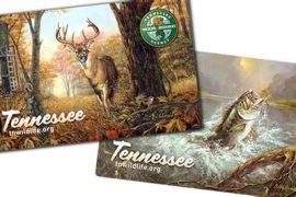 How Much Is a Fishing License in Tennessee? 2025 Prices ($10-$165) + Hidden Costs Revealed
