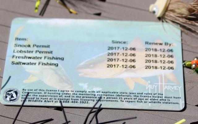 Understanding the Cost of a Fishing License