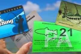 Unveiling the Truth: Does Sportsman License Include Saltwater Fishing?