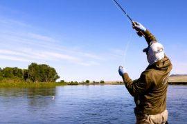 Understanding the Importance of a Fishing License in the United States