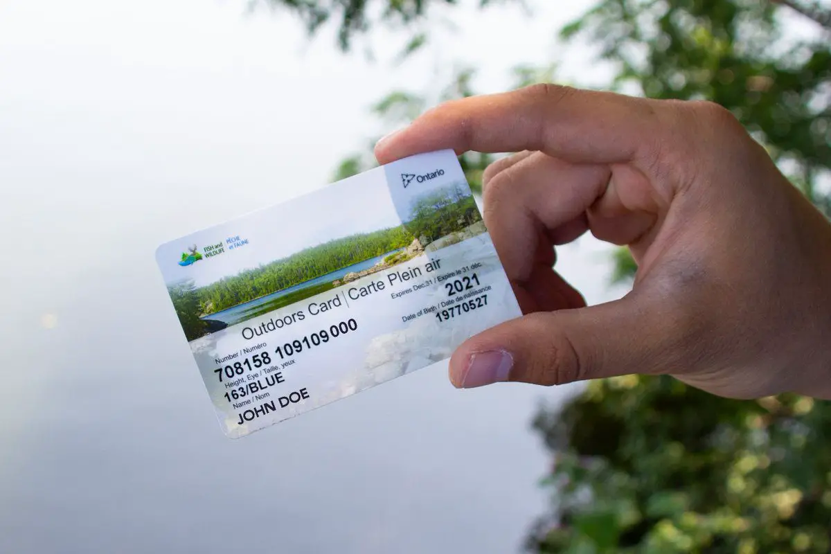 Complete 2024 Guide: How to Get Your Ontario Fishing License Online
