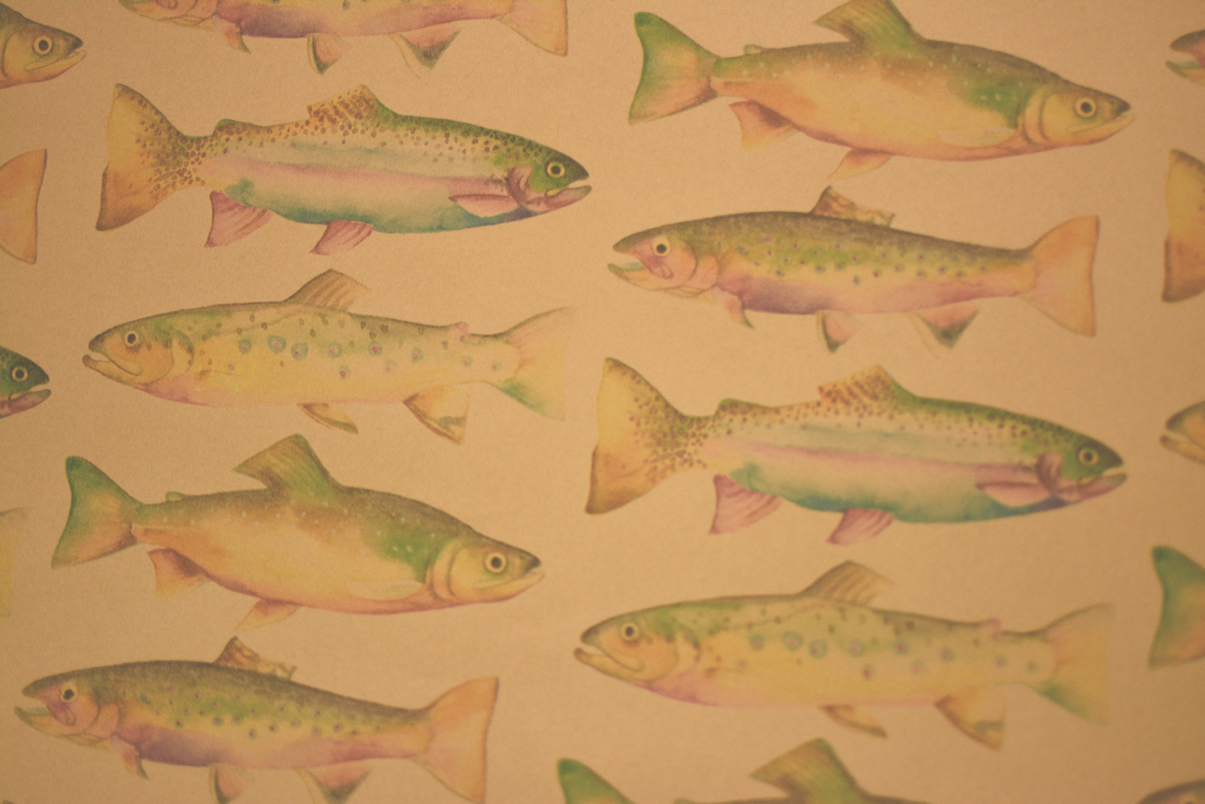 3-Day Nevada Fishing License Cost