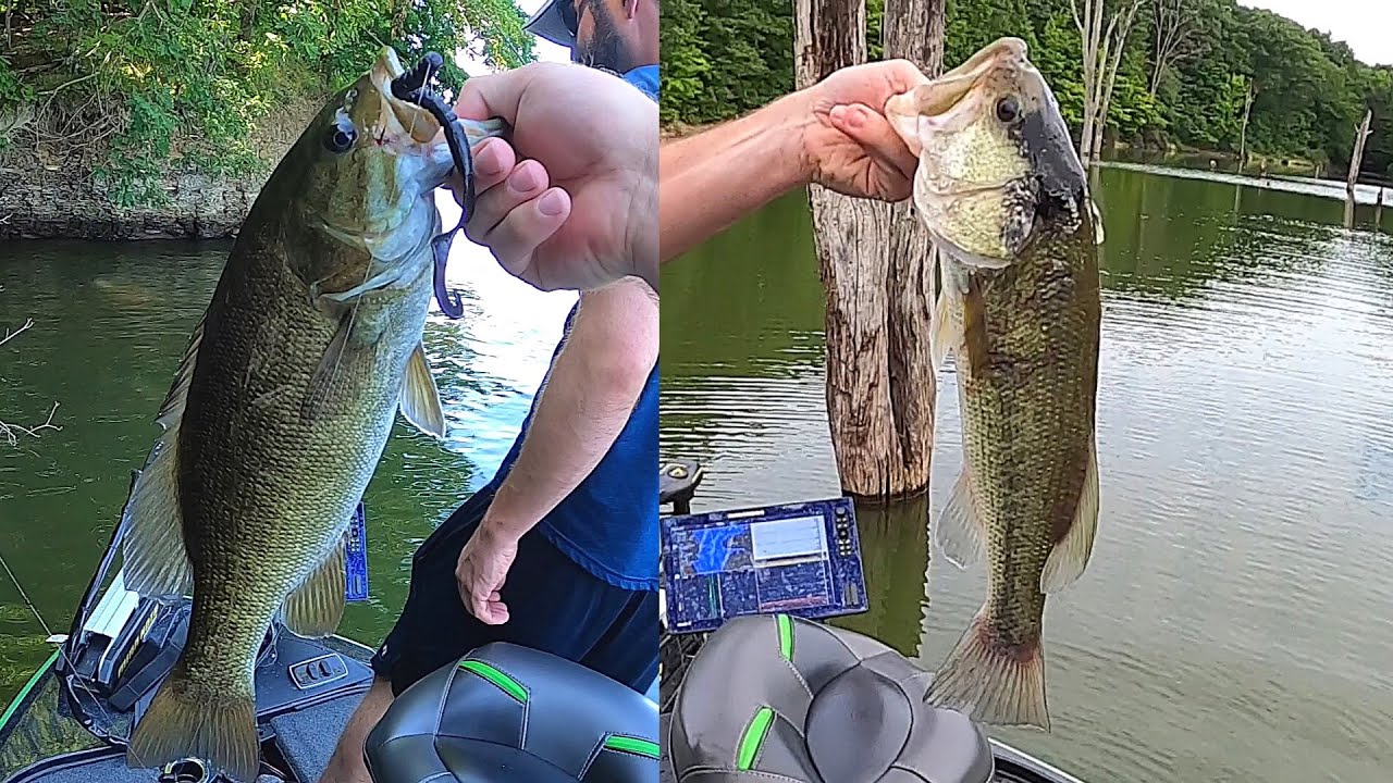 Do I Need a License to Fish at Alum Creek?