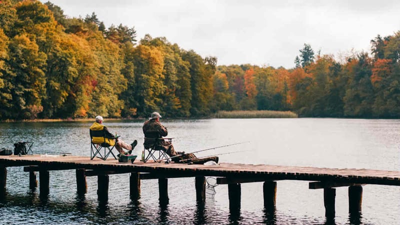 Ultimate Guide to Lloyd Park Fishing License Requirements