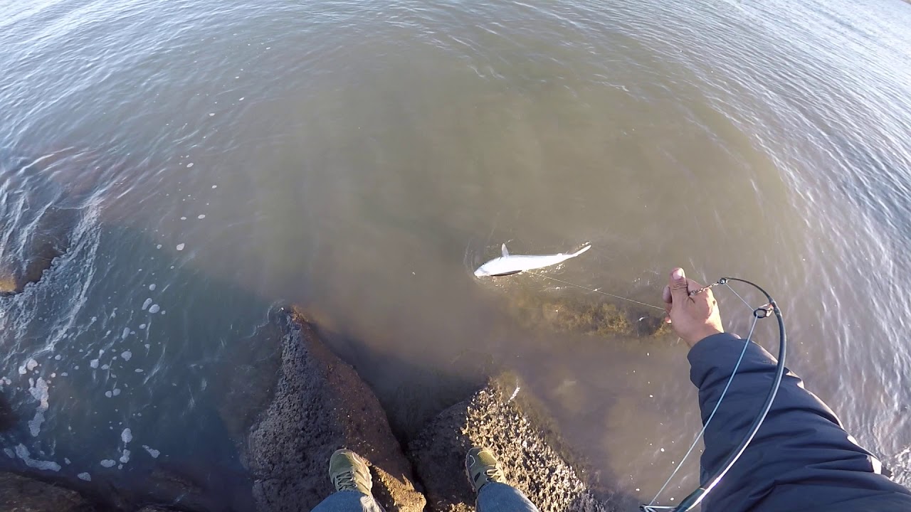 Navigating the Waters: Your 2024 Guide to Obtaining a Lifetime Fishing License in Michigan