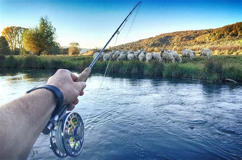 California Fishing License Guide