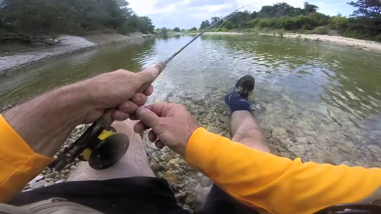 Stevens Creek Fishing Guide: License Requirements, Tips and FAQs