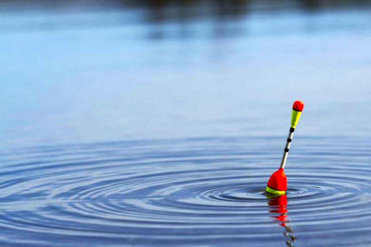 Unraveling the Mystery: Are Fishing Licenses Free?