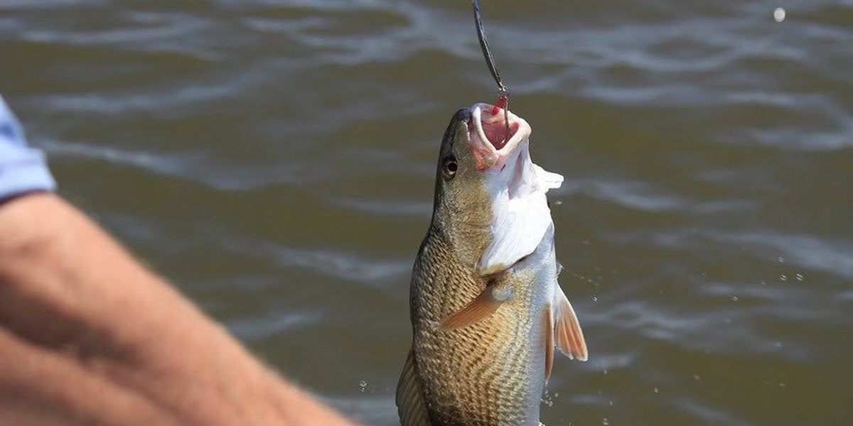 Your Quick and Easy Guide to Getting a New York Fishing License