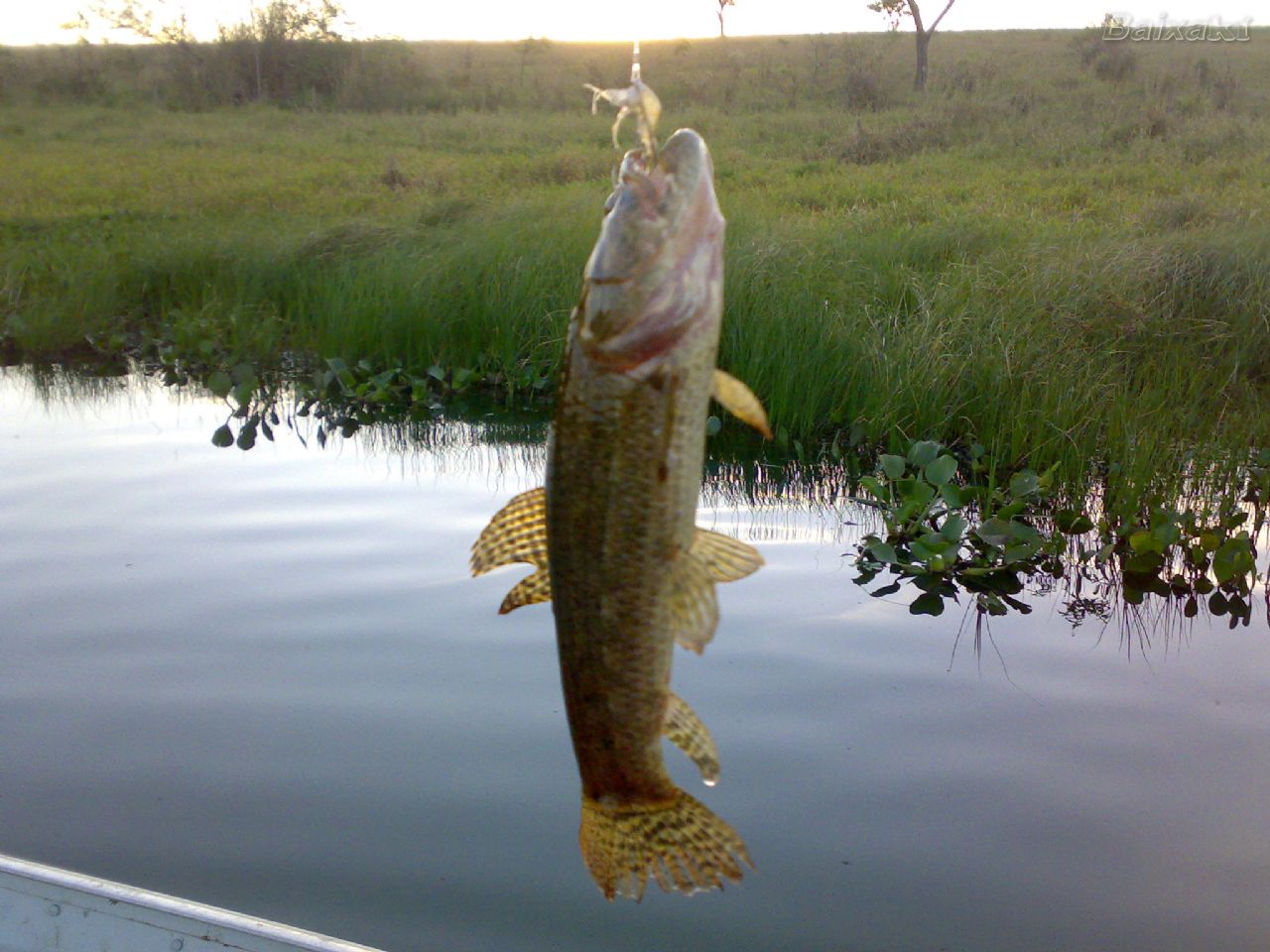 Cost of Wisconsin Non-Resident Fishing License