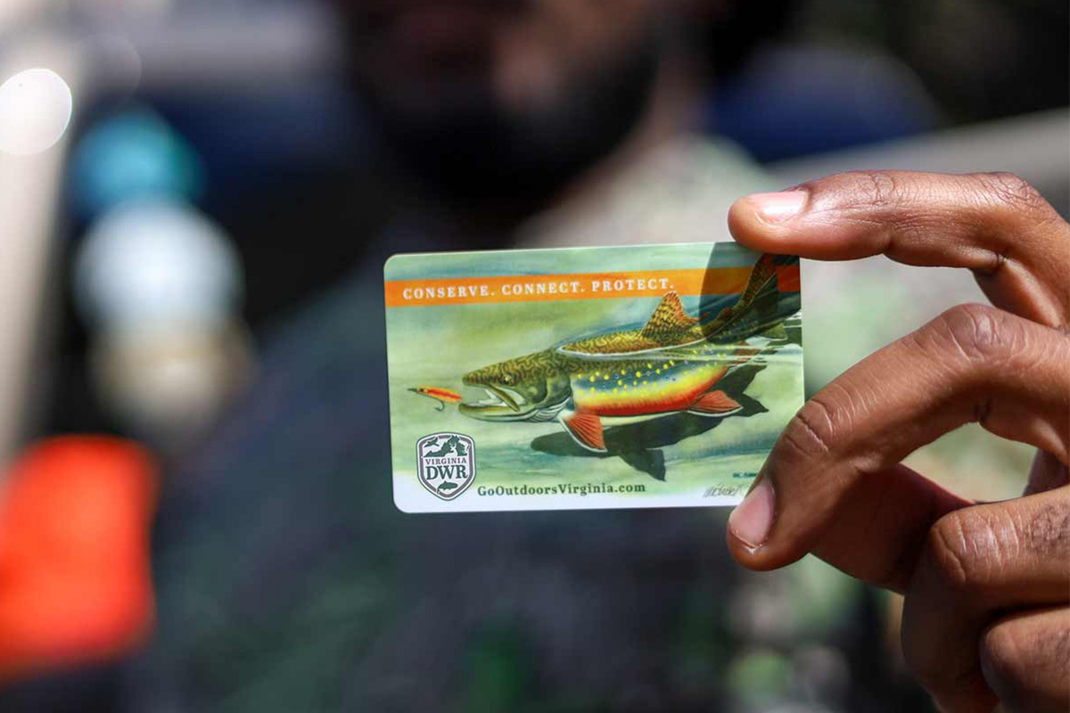 Virginia Fishing License 101: All You Need to Know