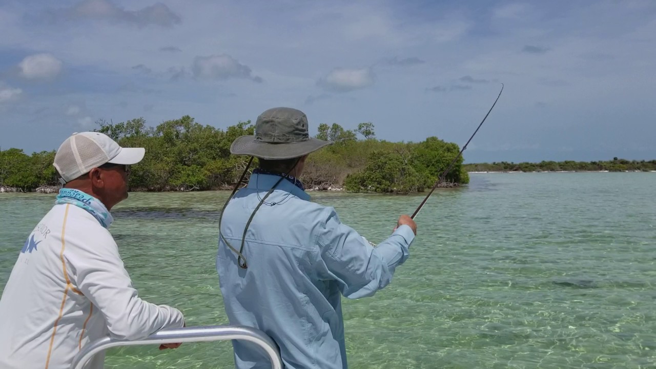 Belize Fishing License: Costs, Requirements & How to Get It