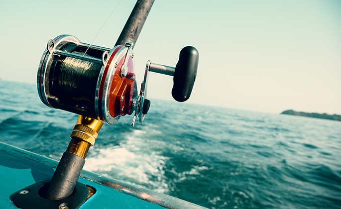 Fishing License Cost in Minnesota: Your Guide to Affordable Angling
