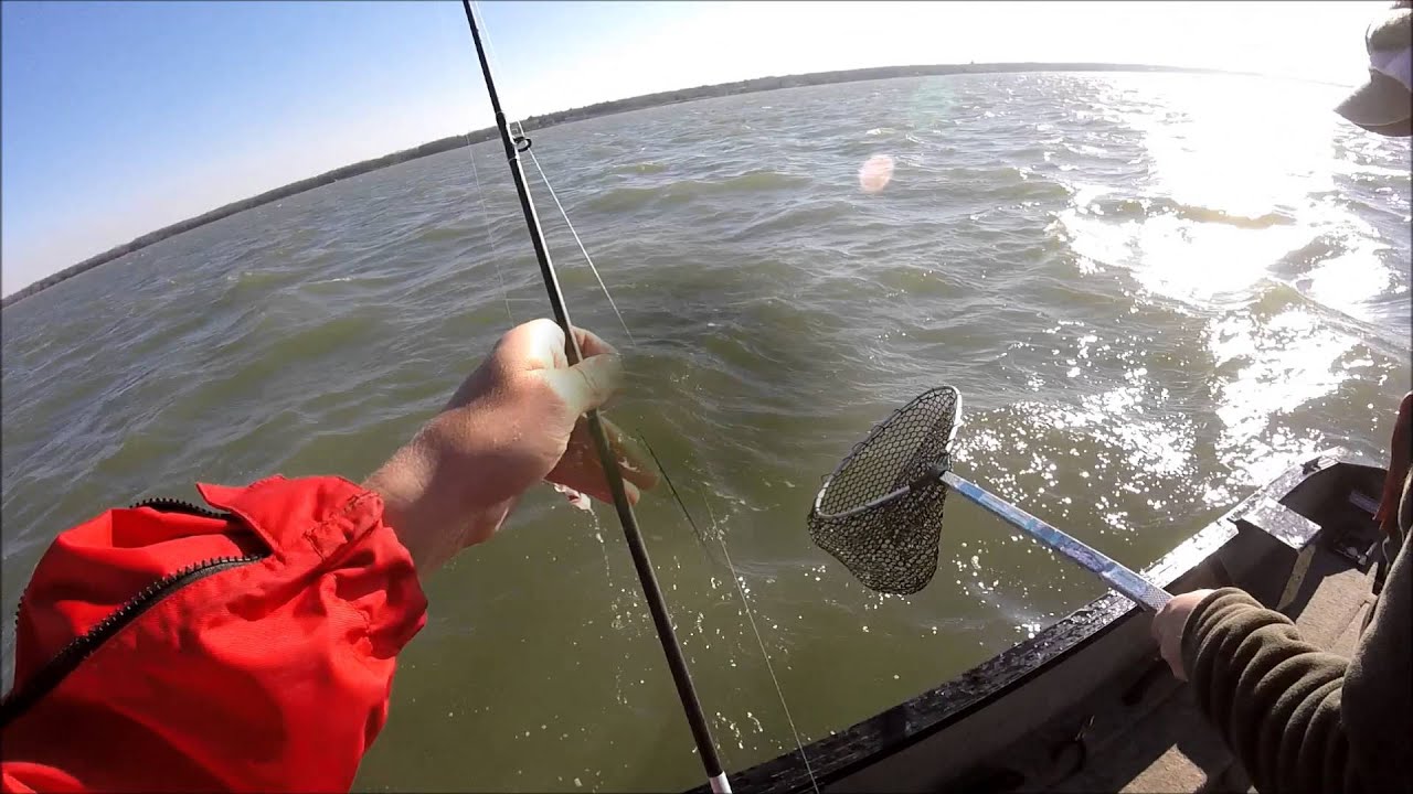 Fishing License Requirements at Marco Island: The Ultimate Guide