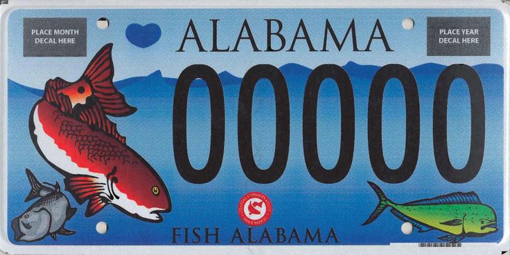 Georgia Fishing License in Alabama: Rules and Regulations Explained