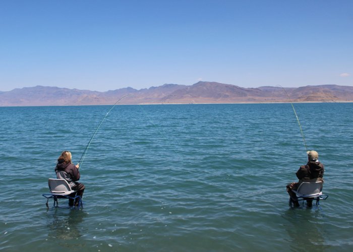 Your 2024 Guide to Getting a Pennsylvania Fishing License: 4 Simple Steps for Quick Approval!