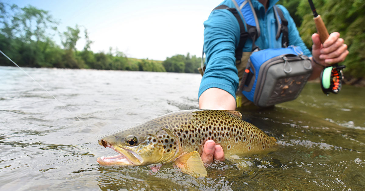 Pennsylvania Fishing License Online Today!