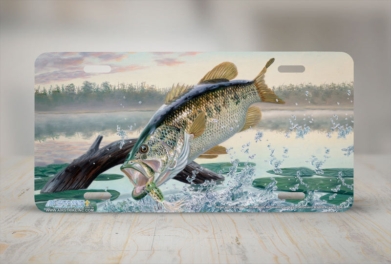 Guide: Get Your Fishing License in Montello WI