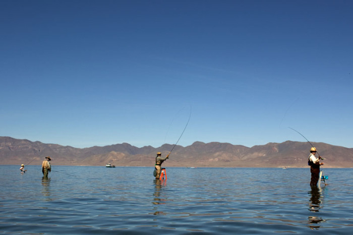 for Life: Texas Fishing License Age Limits