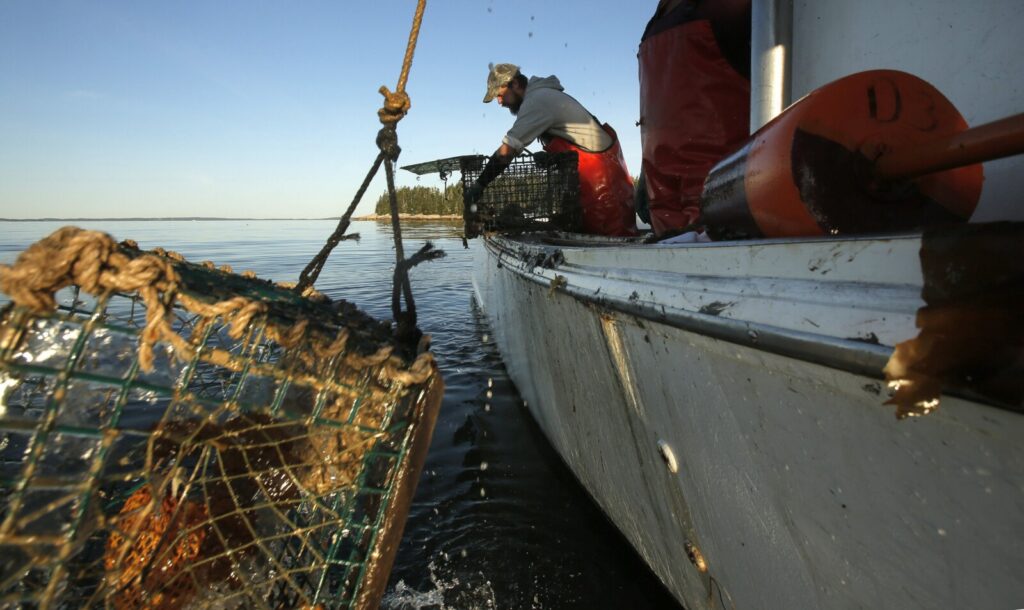 Lobster Fishing Licenses: Cost, Requirements, and Everything You Need to Know