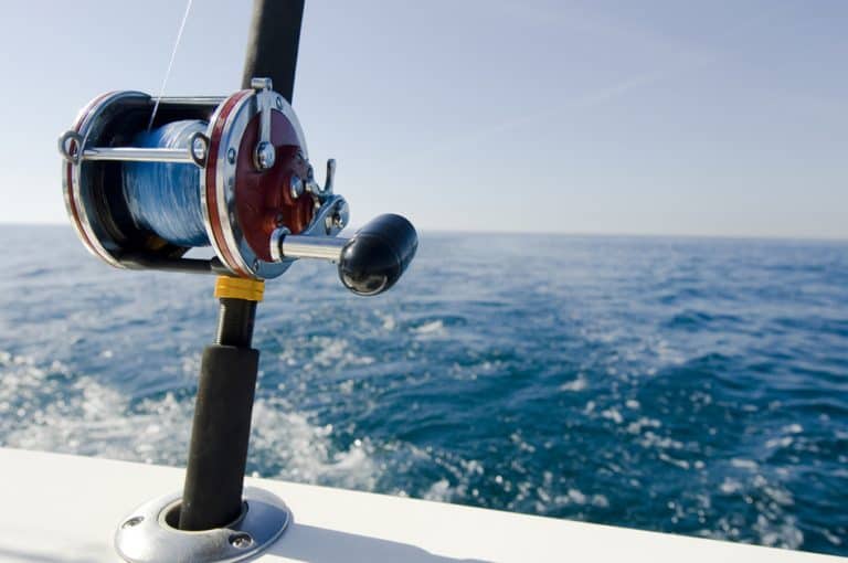 2024 Louisiana Fishing License Discount: Get Pro-Rated Rates Now!